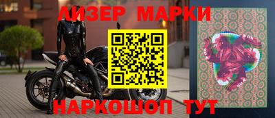 кокс Кингисепп