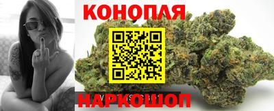 кокс Кингисепп